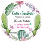 ETIQUETA 42MM PERSON COUCHE ADESIVA CACTOS E SUCULENTAS 32MTS
