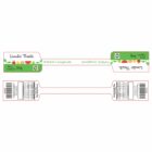 ETIQUETA 38X280/1 PERSON CARTAO LAMINADO CASAGRANDE LIMAO THAITI 2KG (1000UNID)K