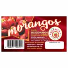 ETIQUETA 80X42/1 PERSON COUCHE ADESIVA MORANGOS SELECIONADOS SITIO AQUARELA 250G-45MTS