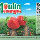 ETIQUETA 40X60/2 PERSON COUCHE ADESIVO MORANGOS MOULIN 250G-78,75MTS