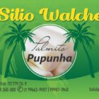 ETIQUETA 100X38/1 PERSON COUCHE ADESIVO SITIO WALCHER PALMITO PUPUNHA 500G 32MTS