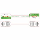 ETIQUETA 38X279,40/1 CARTÃO LAMINADO CASA GRANDE TOMATE 2K (1000UNID)K