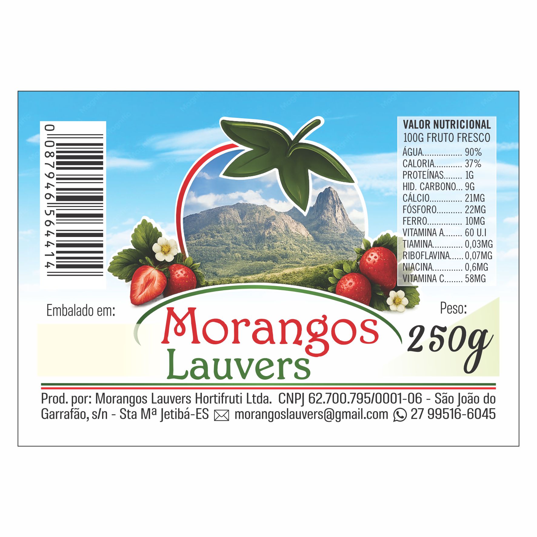 ETIQUETA 40X60/2 COUCHE ADESIVA MORANGOS LAUVERS (2.500)K